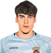 Nando Verdoni