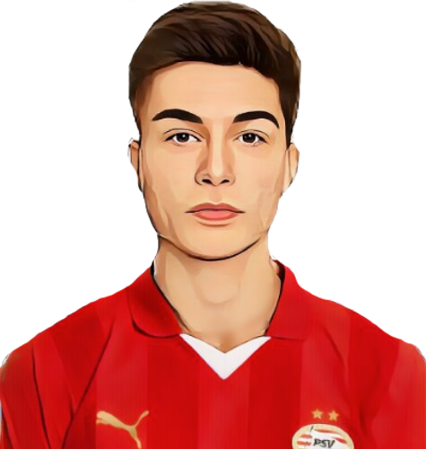 Esmir Bajraktarevic