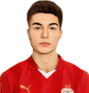Esmir Bajraktarevic
