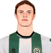 Elvis van der Laan