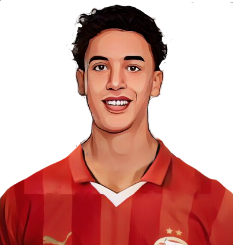 Amir Bouhamdi