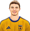 Wout Asselman